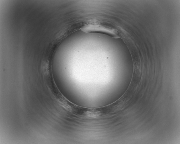 X0000071940556200607212203