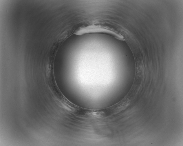 X0000071940558200607212203