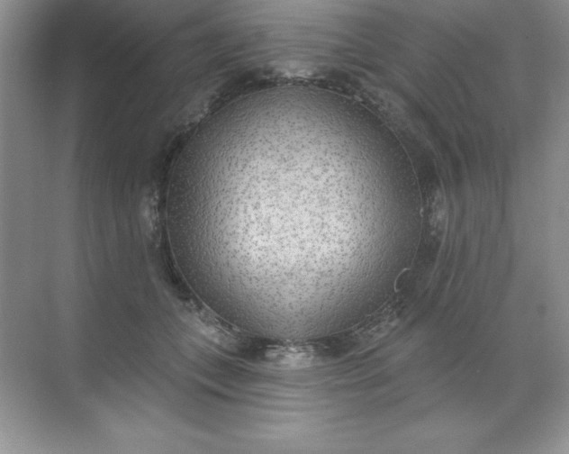 X0000071940559200607212203