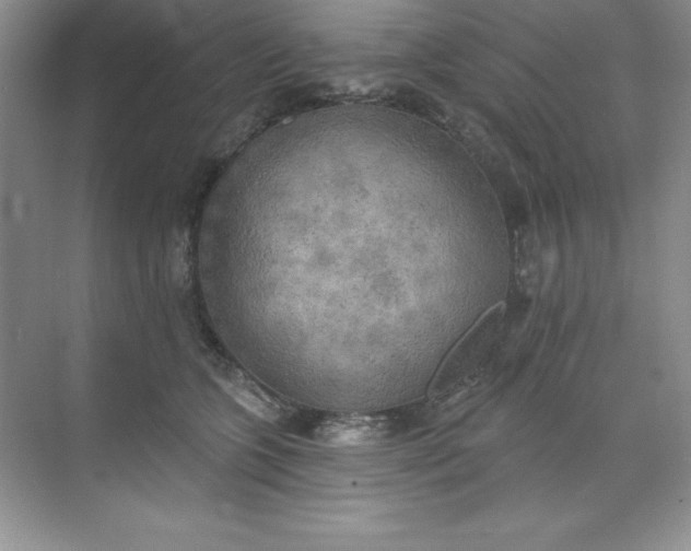 X0000071940563200607212203