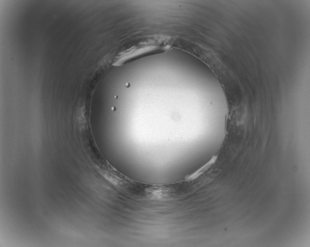 X0000071940564200607212203