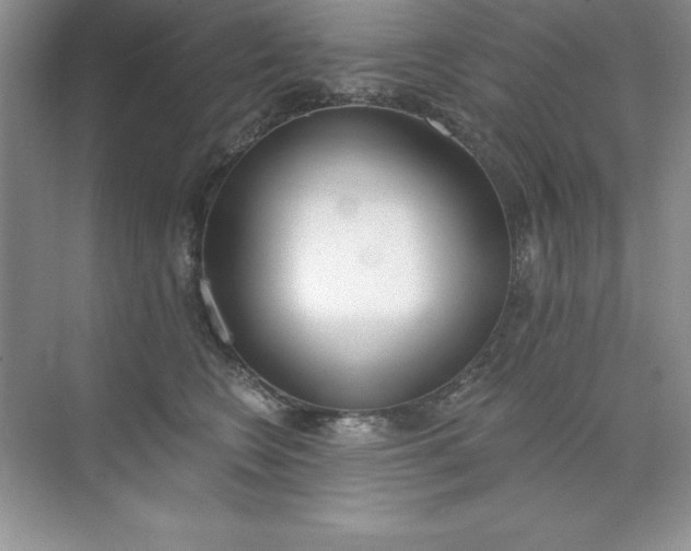 X0000071940566200607212203