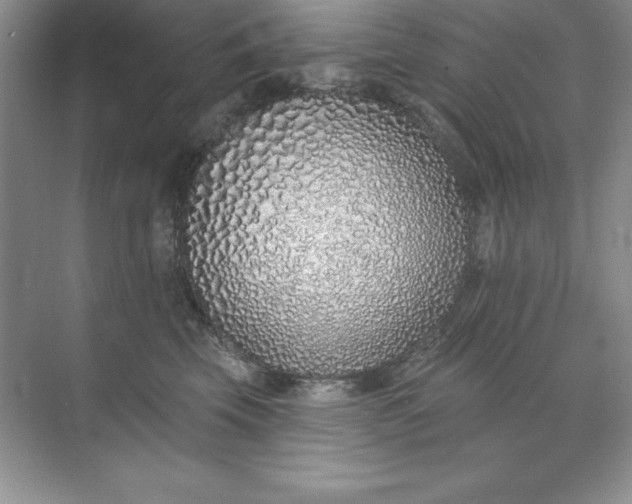 X0000071940569200607212203