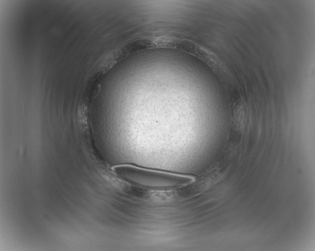 X0000071940571200607212203