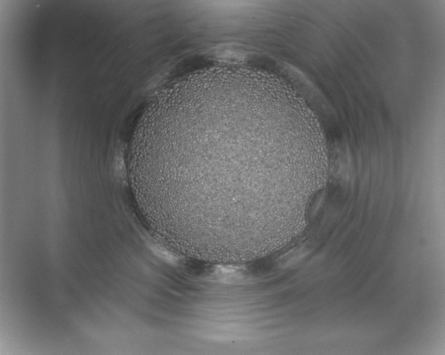 X0000071940573200607212203