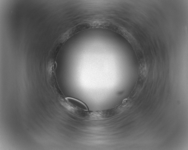 X0000071940574200607212203