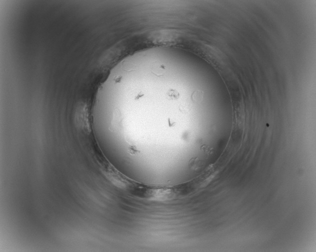 X0000071940575200607212203