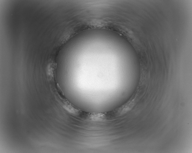 X0000071940576200607212203