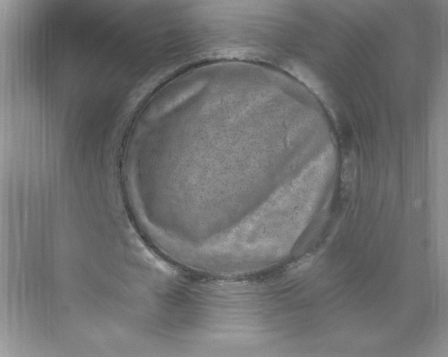 X0000071940577200607212203