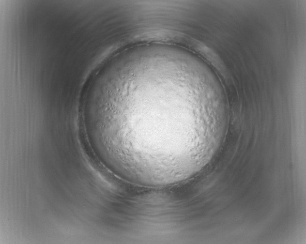 X0000071940578200607212203