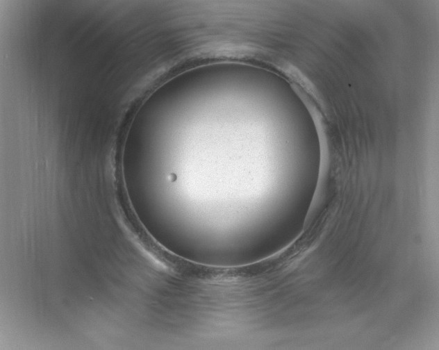 X0000071940581200607212203