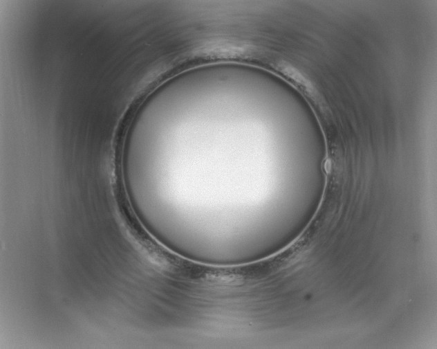 X0000071940582200607212203