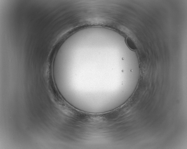 X0000071940583200607212203