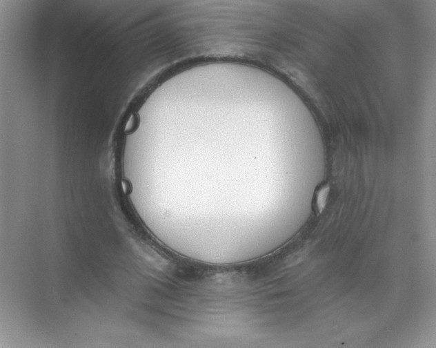 X0000071940584200607212203