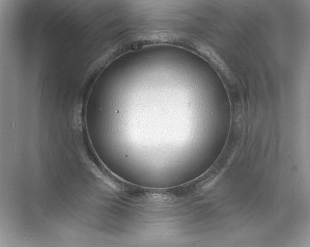 X0000071940585200607212203