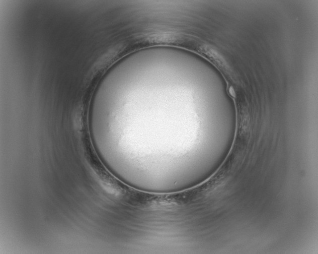 X0000071940586200607212203