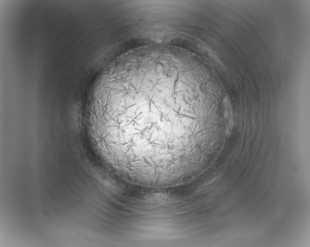 X0000071940594200607212202