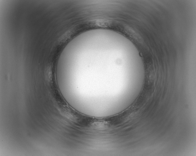 X0000071940595200607212202