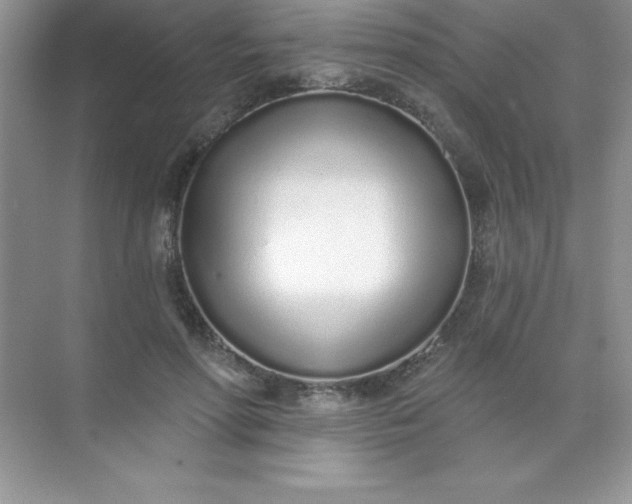 X0000071940598200607212202