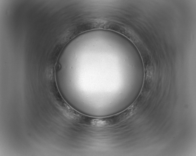 X0000071940602200607212202