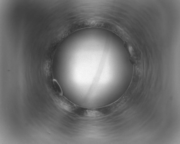 X0000071940605200607212202