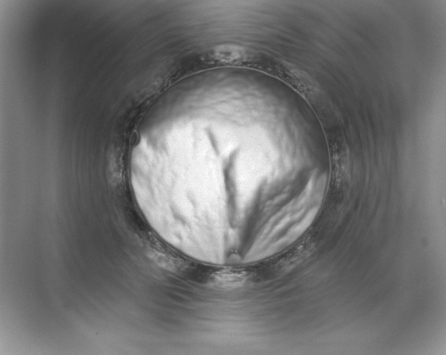 X0000071940606200607212202