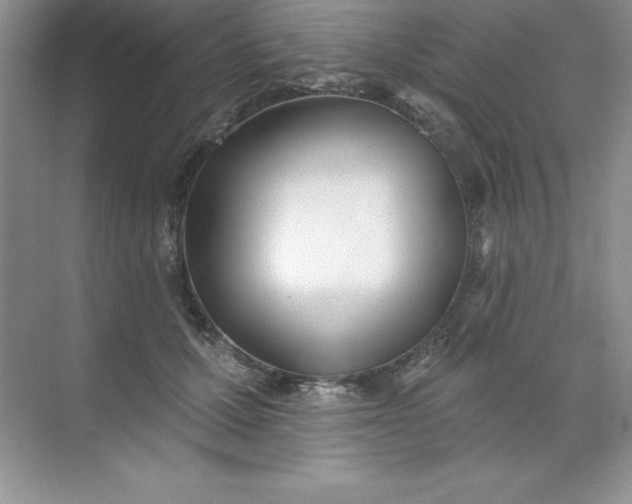 X0000071940607200607212202