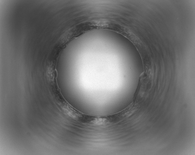 X0000071940609200607212202