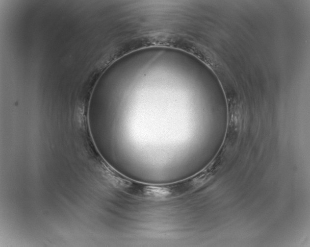 X0000071940610200607212202