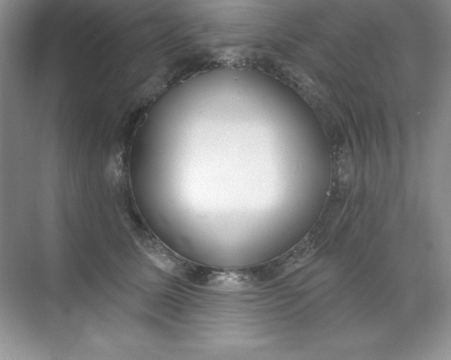 X0000071940611200607212202