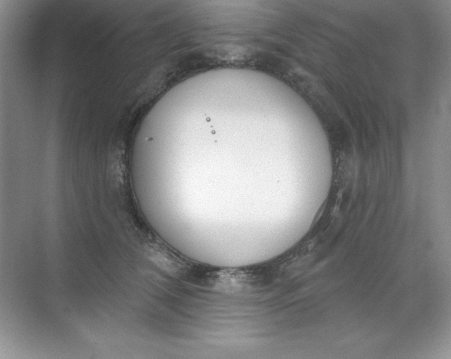 X0000071940612200607212202