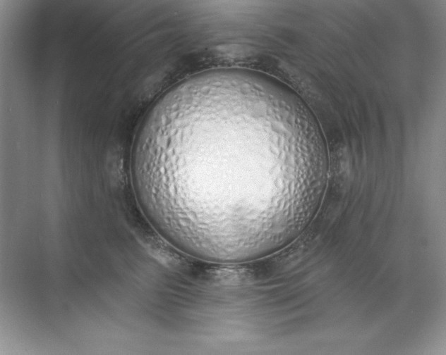 X0000071940615200607212202