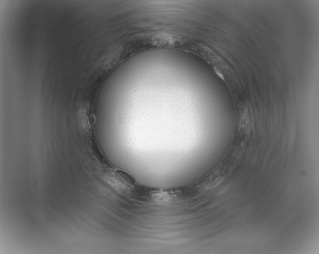 X0000071940616200607212202