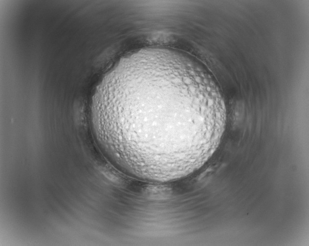 X0000071940619200607212202