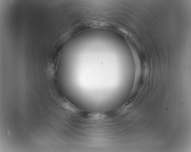 X0000071940621200607212202