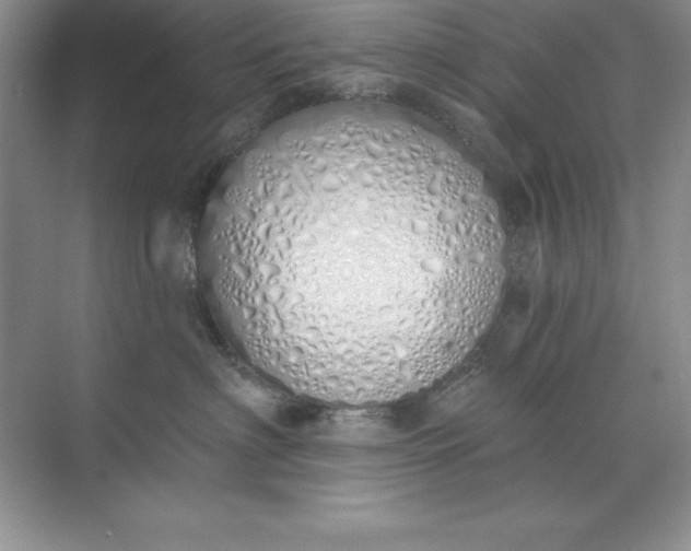 X0000071940622200607212202