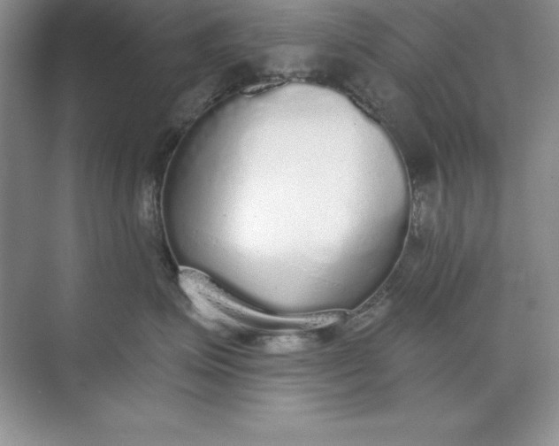 X0000071940623200607212202