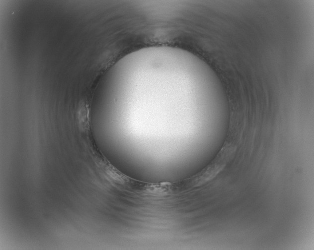 X0000071940624200607212202