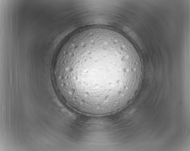 X0000071940625200607212201