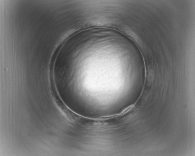 X0000071940626200607212201