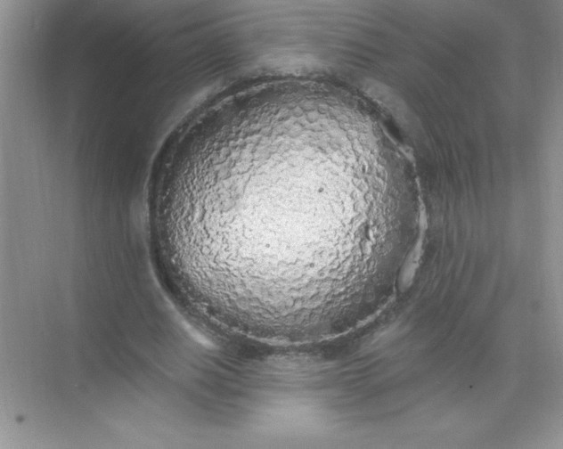 X0000071940630200607212201