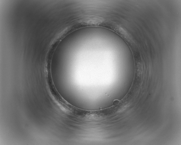 X0000071940634200607212201