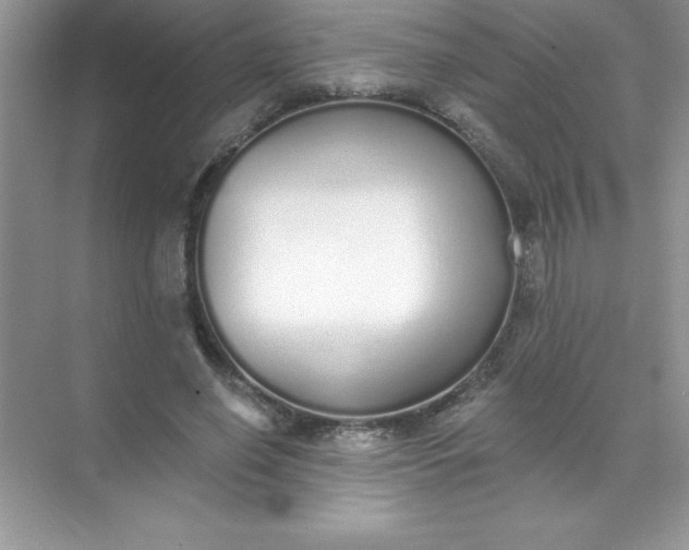 X0000071940638200607212201