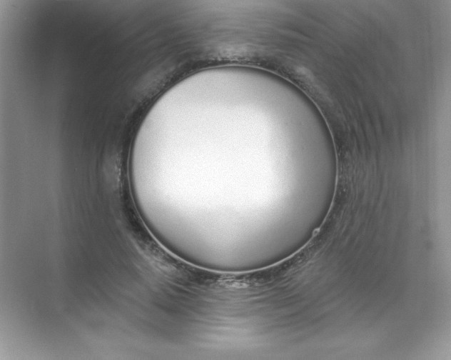 X0000071940640200607212201