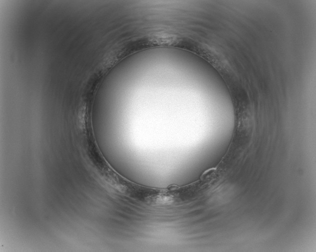X0000071940647200607212201