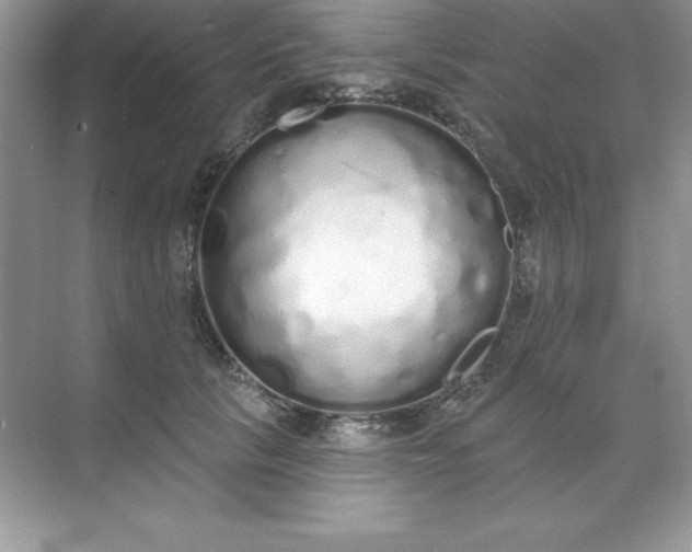 X0000071940657200607212202