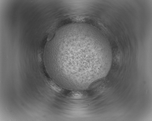 X0000071940658200607212202