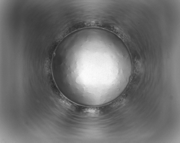 X0000071940659200607212202