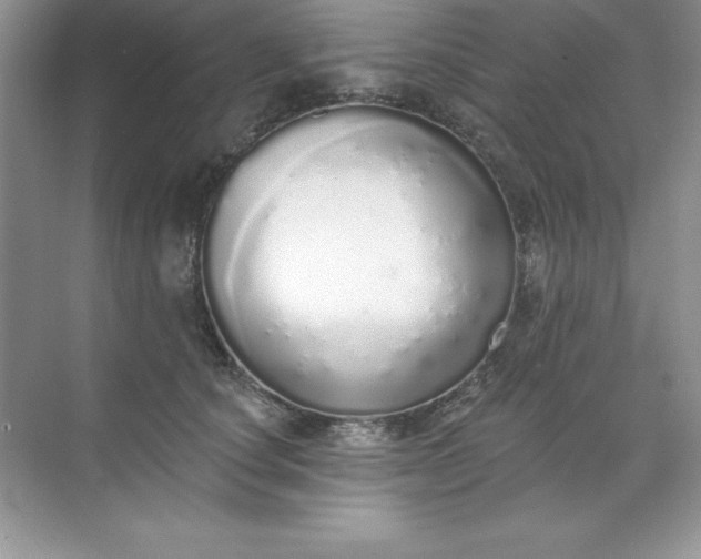 X0000071940660200607212202