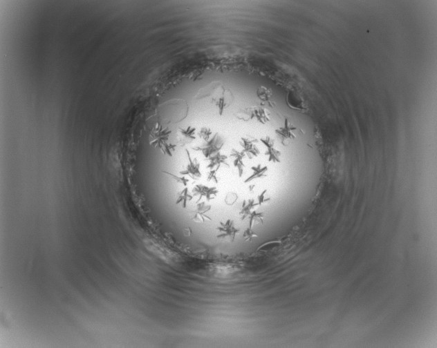 X0000071940662200607212202